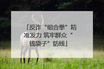 反诈“组合拳”精准发力 筑牢群众“钱袋子”防线