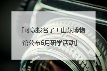 可以报名了！山东博物馆公布6月研学活动
