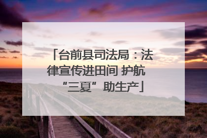 台前县司法局：法律宣传进田间 护航“三夏”助生产