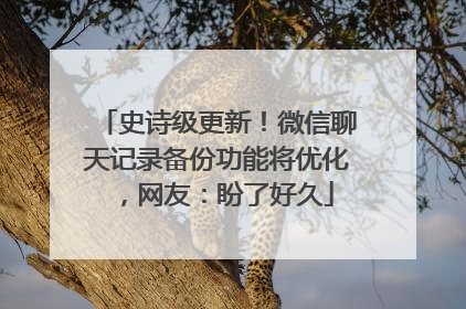 史诗级更新！微信聊天记录备份功能将优化，网友：盼了好久