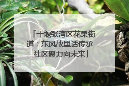 十堰张湾区花果街道：东风故里话传承 社区聚力向未来