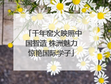 千年窑火映照中国智造 株洲魅力惊艳国际学子
