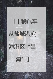 千辆汽车从盐城港滨海港区“出海”
