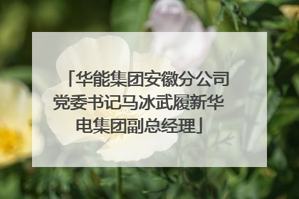 华能集团安徽分公司党委书记马冰武履新华电集团副总经理