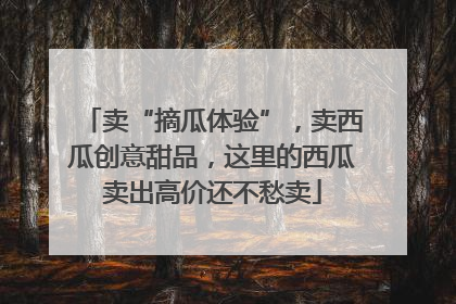 卖“摘瓜体验”，卖西瓜创意甜品，这里的西瓜卖出高价还不愁卖