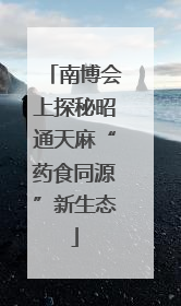 南博会上探秘昭通天麻“药食同源”新生态