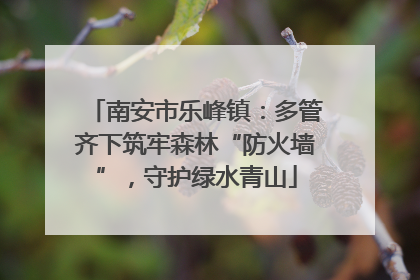 南安市乐峰镇：多管齐下筑牢森林“防火墙”，守护绿水青山