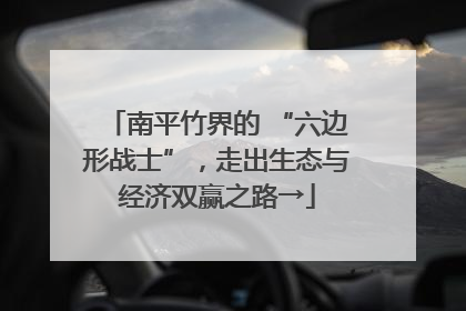 南平竹界的 “六边形战士”，走出生态与经济双赢之路→
