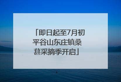 即日起至7月初 平谷山东庄镇桑葚采摘季开启