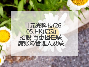 元光科技(2605.HK)启动招股 百惠担任联席账簿管理人及联席牵头经办人