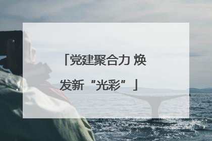 党建聚合力 焕发新“光彩”