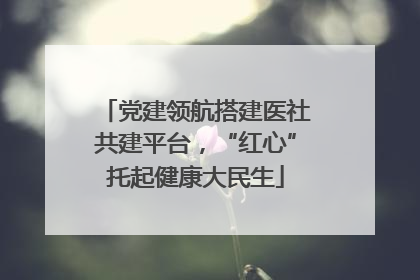 党建领航搭建医社共建平台，“红心”托起健康大民生