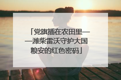 党旗插在农田里——潍柴雷沃守护大国粮安的红色密码