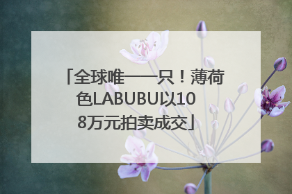 全球唯一一只！薄荷色LABUBU以108万元拍卖成交