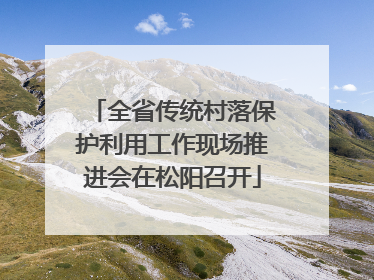 全省传统村落保护利用工作现场推进会在松阳召开