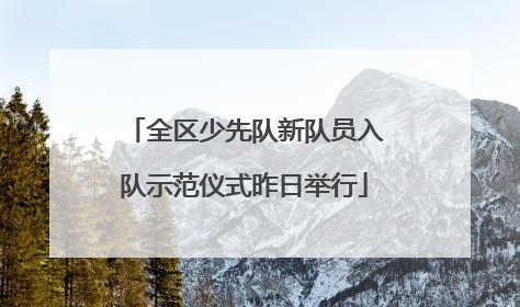 全区少先队新队员入队示范仪式昨日举行