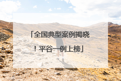 全国典型案例揭晓！平谷一例上榜