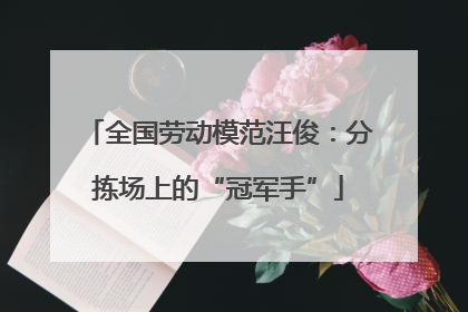 全国劳动模范汪俊：分拣场上的“冠军手”