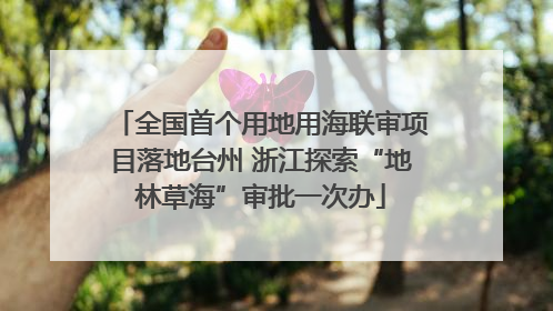 全国首个用地用海联审项目落地台州 浙江探索“地林草海”审批一次办