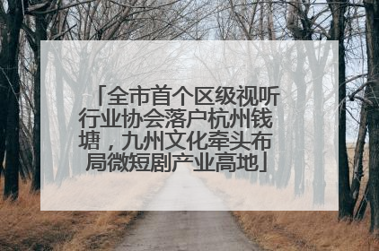 全市首个区级视听行业协会落户杭州钱塘，九州文化牵头布局微短剧产业高地