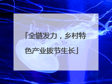 全链发力，乡村特色产业拔节生长