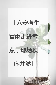 六安考生冒雨走进考点，现场秩序井然