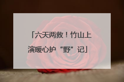六天两救！竹山上演暖心护“野”记