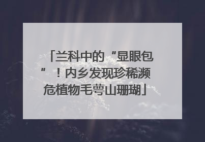 兰科中的“显眼包”！内乡发现珍稀濒危植物毛萼山珊瑚