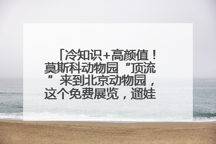 冷知识+高颜值！莫斯科动物园“顶流”来到北京动物园，这个免费展览，遛娃拍照两不误！