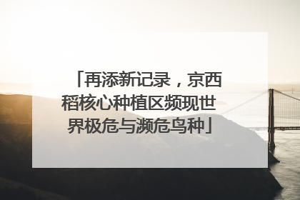 再添新记录，京西稻核心种植区频现世界极危与濒危鸟种