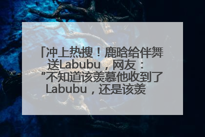冲上热搜！鹿晗给伴舞送Labubu，网友：“不知道该羡慕他收到了Labubu，还是该羡慕鹿晗送他礼物”