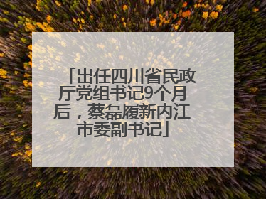 出任四川省民政厅党组书记9个月后，蔡磊履新内江市委副书记
