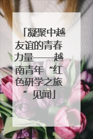 凝聚中越友谊的青春力量——越南青年“红色研学之旅”见闻