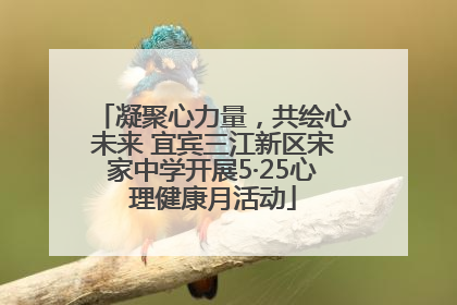 凝聚心力量，共绘心未来 宜宾三江新区宋家中学开展5·25心理健康月活动