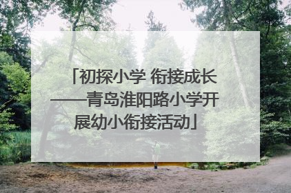 初探小学 衔接成长——青岛淮阳路小学开展幼小衔接活动