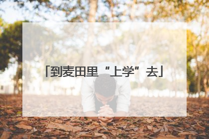 到麦田里“上学”去