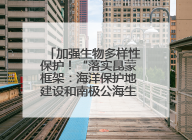 加强生物多样性保护！“落实昆蒙框架：海洋保护地建设和南极公海生态保护”主题论坛将举办