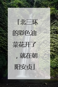 北三环的彩色油菜花开了，就在朝阳安贞