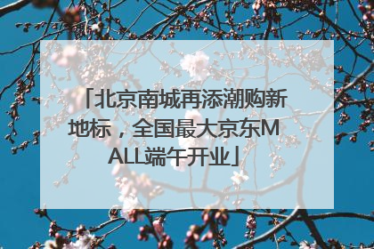 北京南城再添潮购新地标，全国最大京东MALL端午开业