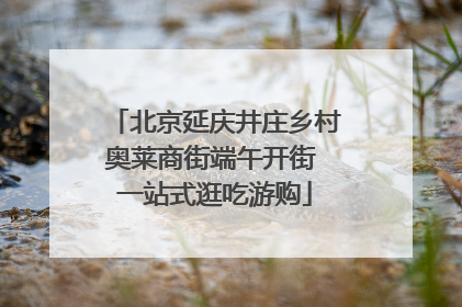 北京延庆井庄乡村奥莱商街端午开街 一站式逛吃游购
