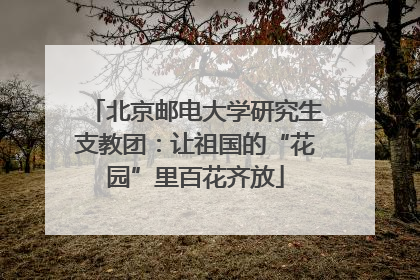 北京邮电大学研究生支教团：让祖国的“花园”里百花齐放
