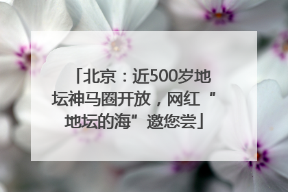 北京：近500岁地坛神马圈开放，网红“地坛的海”邀您尝