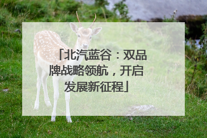 北汽蓝谷：双品牌战略领航，开启发展新征程
