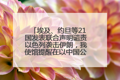 埃及、约旦等21国发表联合声明谴责以色列袭击伊朗，我使馆提醒在以中国公民尽快陆路离境