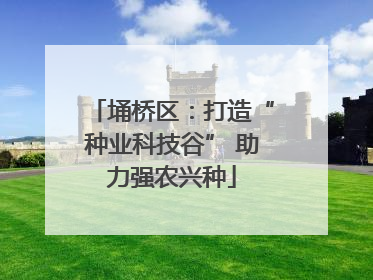 埇桥区：打造“种业科技谷” 助力强农兴种