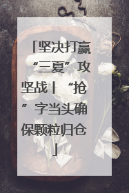 坚决打赢“三夏”攻坚战丨“抢”字当头确保颗粒归仓
