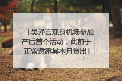 吴谨言现身机场参加产后首个活动，此前于正曾透露其本月复出