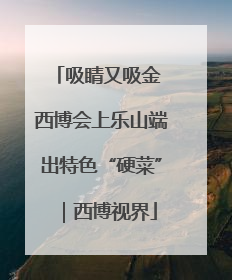吸睛又吸金 西博会上乐山端出特色“硬菜”｜西博视界