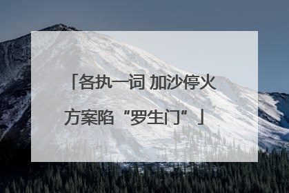 各执一词 加沙停火方案陷“罗生门”