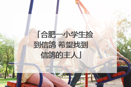 合肥一小学生捡到信鸽 希望找到信鸽的主人